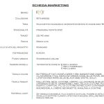 Collezione Targa Erika 1 Pagina 10 1024x724 1