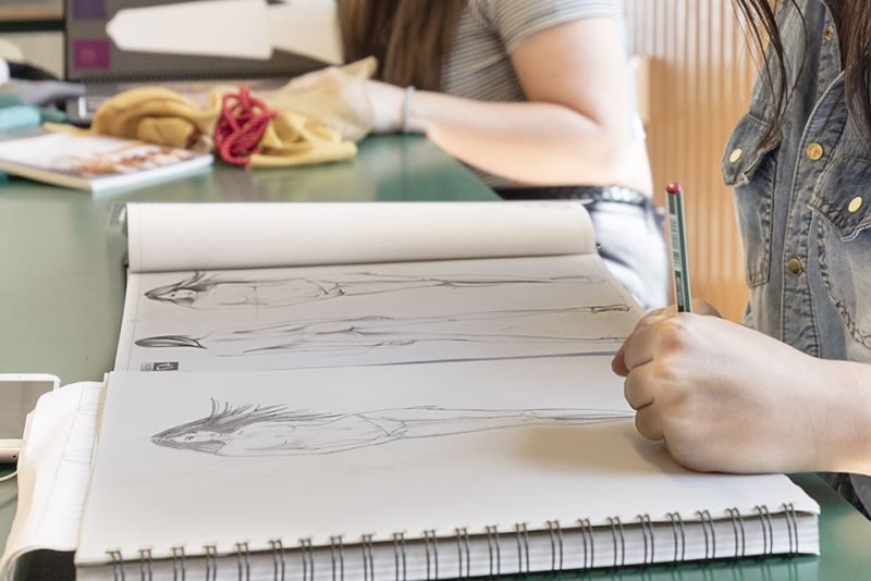 Beachwear Design Master Course